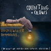 Counting Crows &mdash; Underwater Sunshine (Or What We Did On Our Summer Vacation)