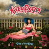Katy Perry &mdash; One Of The Boys
